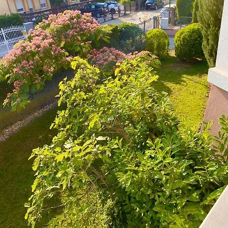 Selyemakacapartman バラトンレッレ